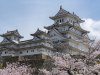 Japonya’nın Bilinmeyen Yüzü